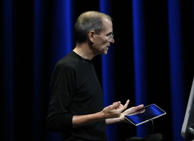 Steve Jobs believes Apple's iPad has the 'tiger by the tail' in the tablet market.