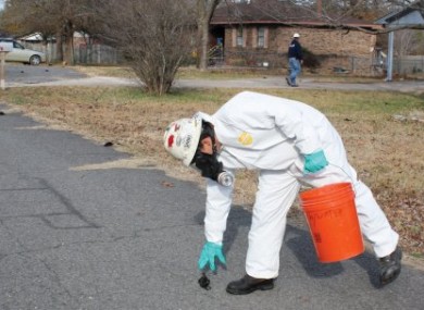 A worker with US Environmental Services, a private contractor, picks up a dead bird in Beebe, Arkansas, on Saturday.