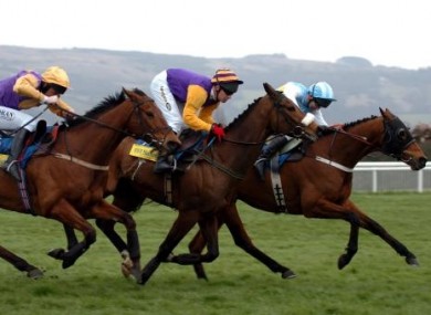 Hardy Eustace (right) hangs on to beat Harchibald (centre) and Brave Inca (left) in the 2005 Champion Hurdle.
