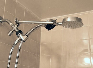 Bath or shower? This, and other pressing questions in the alternative census