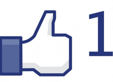 Facebook's 'Like' button has become a staple of the web - but German officials believe it to be in breach of EU privacy laws.