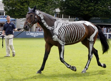 'Horses Inside Out', an organisation which gives insight into how the horse works, gives a demonstration at the Dublin Horse Show in the RDS