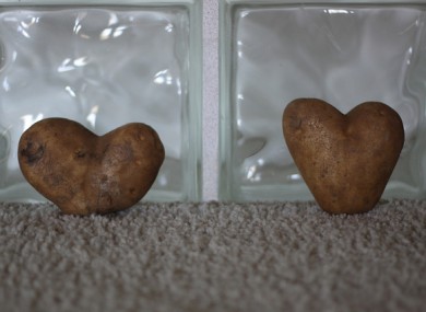 Love spuds (get it?)