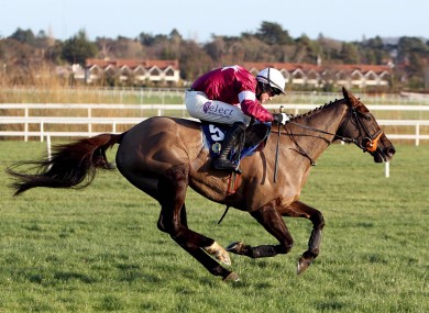 Last Instalment, en route to winning that Fort Leney Novice Steeplechase at Leopardstown last Christmas.