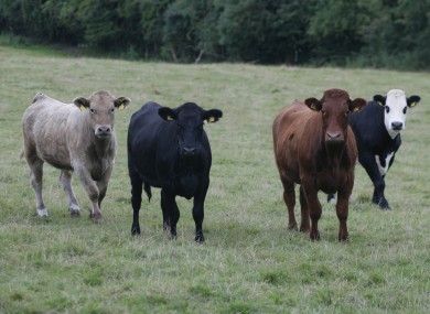 The food and livestock sector was one of the sectors to see an increase in trade last year.