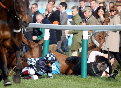 Richard Johnson and Wishfull Thinking fall at the first.