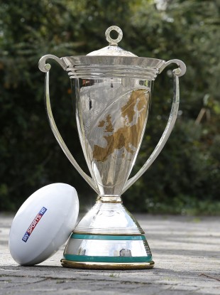 Impressive: The Heineken Cup trophy.
