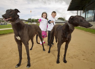 Mia McLoughlin from Rathmines and 7 year old Lee Hallion from Rathmines with Aoife's Champ and Amy's Hope.