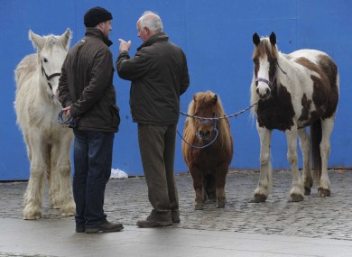 The monthly horse fair would be limited to twice a year under Dublin City Council's proposals.