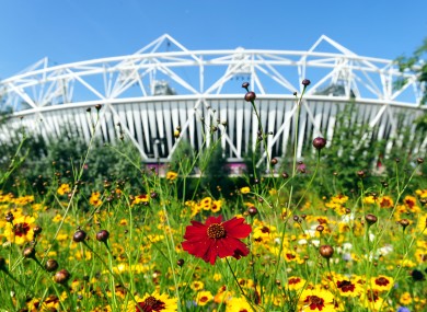 Flowers outside the Olympic Stadium in the Olympic Park, London.