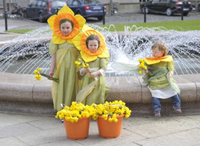 Isobel and Millie Ahearn and Orlaith Power help celebrate Daffodil Day in March for the Irish Cancer Society.
