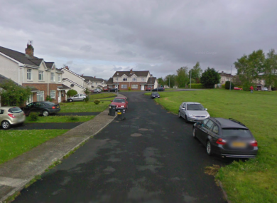 It was claimed that students had deliberately thrown a ball over a road in College Court Drive, near the University of Limerick, to attract a dog into the path of oncoming traffic.