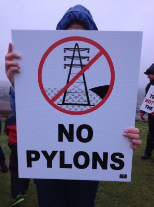 Protester at the march at Vinegar Hill yesterday.