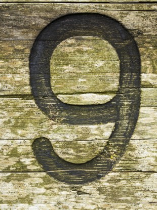 The 9 at 9
