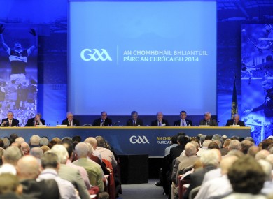 Delegates at GAA Congress.