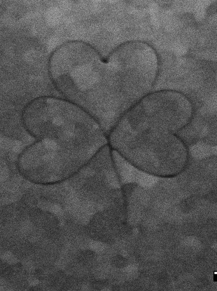 The shamrock was etched on one of the harp strings on the pin, each one is 150 micrometres wide.