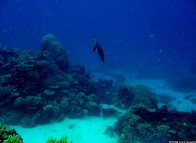 Great Barrier Reef