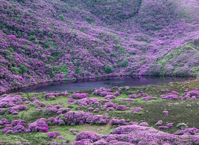 The area at the Knockmealdown Mountains