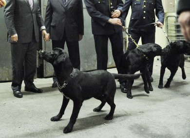 Sniffer dogs used in the enhanced visitor screening measures at the prison.