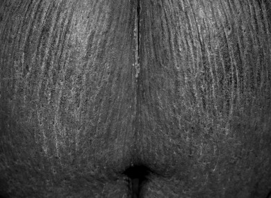 It's a nut. Get your mind out of the gutter.