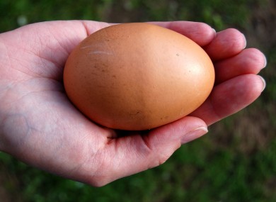 Egg posed by model