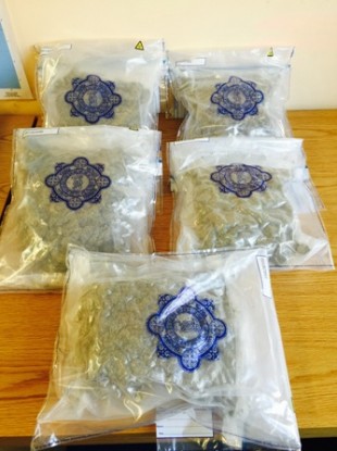 The drugs seized by gardaí this morning.