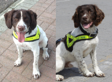 Defor (right) and Ralph (left).