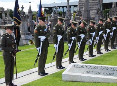 The Irish Defence Forces