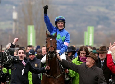 Hurricane Fly after winning the Champion Hurdle in 2013.
