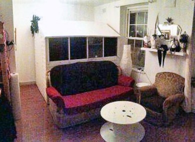 Yes, that's a shed inside a living room.