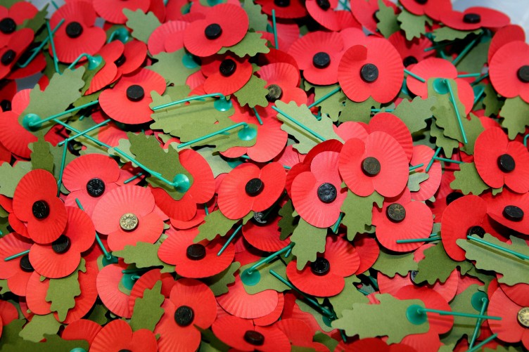 remembrance poppy for sale remembrance poppy for sale