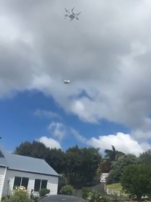The drone delivers its hot, edible cargo.