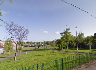 The green area surrounding Shankill Dart Station.