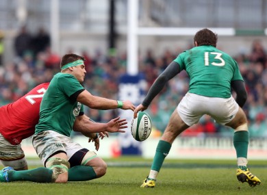 Adopted sons: CJ Stander and Jared Payne have been important players for Ireland.