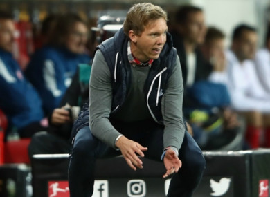 Julian Nagelsmann has impressed during his stint as Hoffenheim boss.