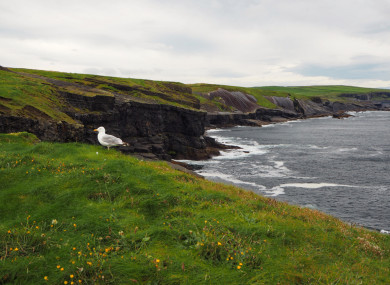 Kilkee cliffs in Clare.