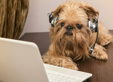 Looking at screens is both a professional and leisure activity.