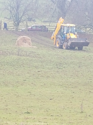 The scene where the horses were found.