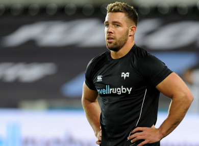 Webb was back-up to Conor Murray during the Lions tour last summer.