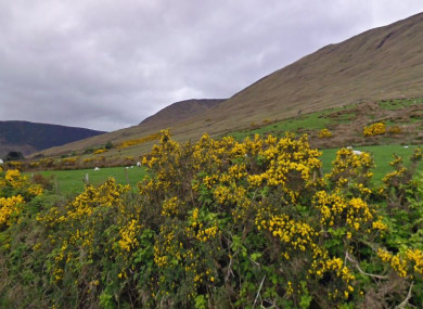 Maamtrasna is on the Galway-Mayo border.