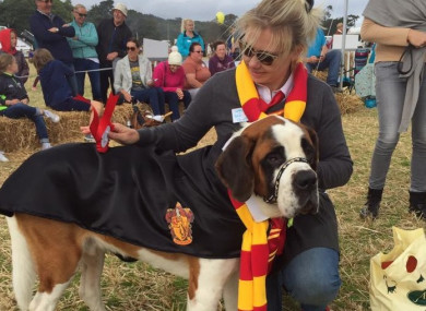 Meet Harry Paw-ter.