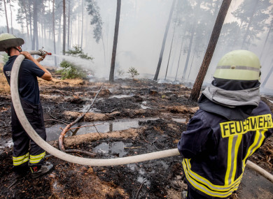 Firefighters fighting a forest fire at Treuenbrietzen.