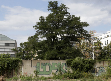 A newly discovered section hides behind the bushes near the headquarters of Germany's Federal Intelligence Service