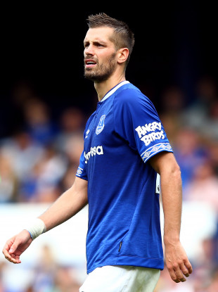 Morgan Schneiderlin (file pic).