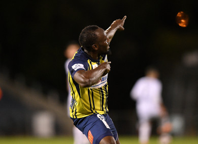 Bolt: