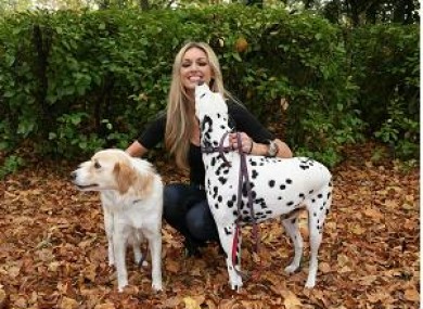Rosanna Davidson and canine friends launching World Animal Day