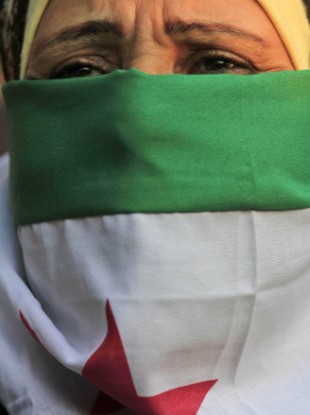A Syrian Protester covers her face with a Syrian flag as she attends an anti-Syrian regime protest in front of the Arab league headquarters in Cairo, Egypt.