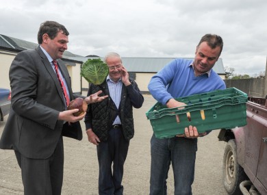 Shane McEntee demonstrates his cabbage-handling skills for field veg producers Charlie Kehoe and David Kehoe.