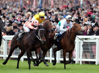 Black Cavier and Luke Nolan (left).