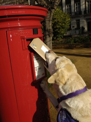 And before anyone leaves a comment, yes, this is a British post box. But the dog was too cute not to use it...